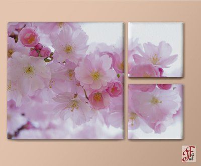Печатная модульная картина Ветка сакуры. Триптих 110х75 см 1030105004 фото