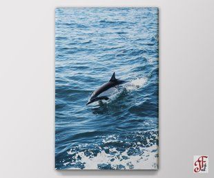 Друкована картина Дельфін 40х60 см 01010106016 фото