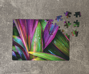 Пазл Листя. Картон А5, 80 07050100101 фото
